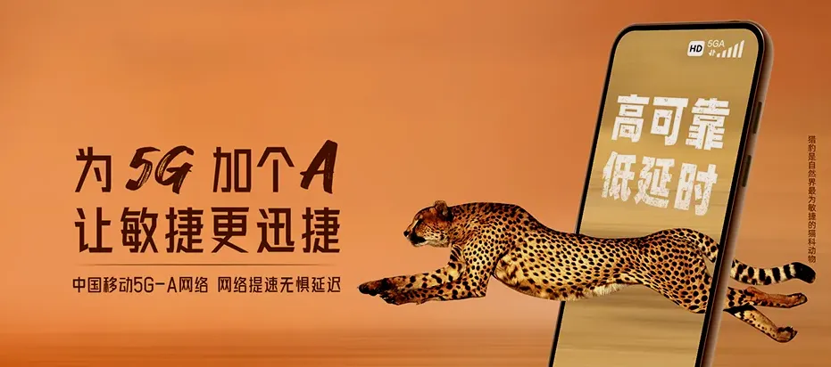 浈江区浈江区新韶镇 移动宽带